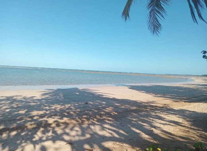 Terreno - Venda - Morro de So Paulo - Cairu - BA