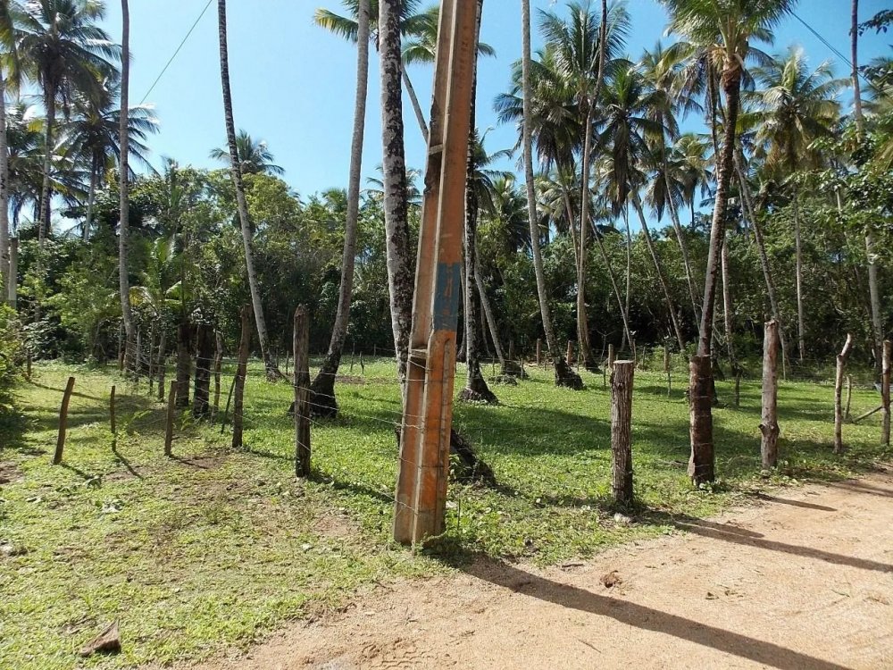 Terreno - Venda - Morro de So Paulo - Cairu - BA